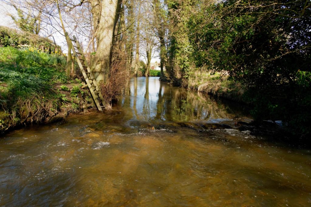 Pickering Fishery Association tweet media