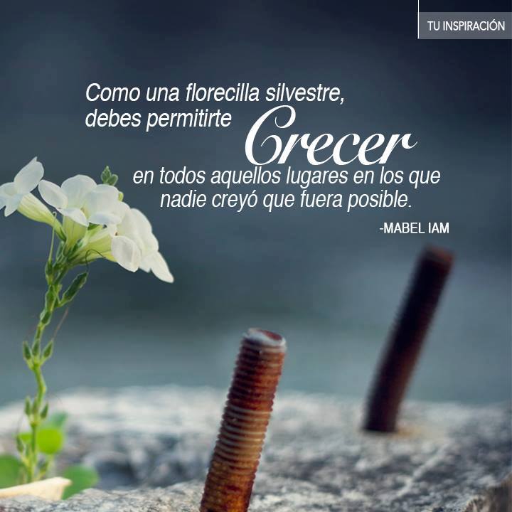 TuVisionCanal's tweet photo. #LatinosInspiradores
#Felicidad #Feliz #Exito #TuCamino #Frases #Inspiración #Motivación #SiSePuede #TuVida #TuVisioner #TVC #TuVisiónCanal #LatinosInspiradores #Español #Meme #Trending @mabeliam #Martes https://t.co/wTypsDOdp4