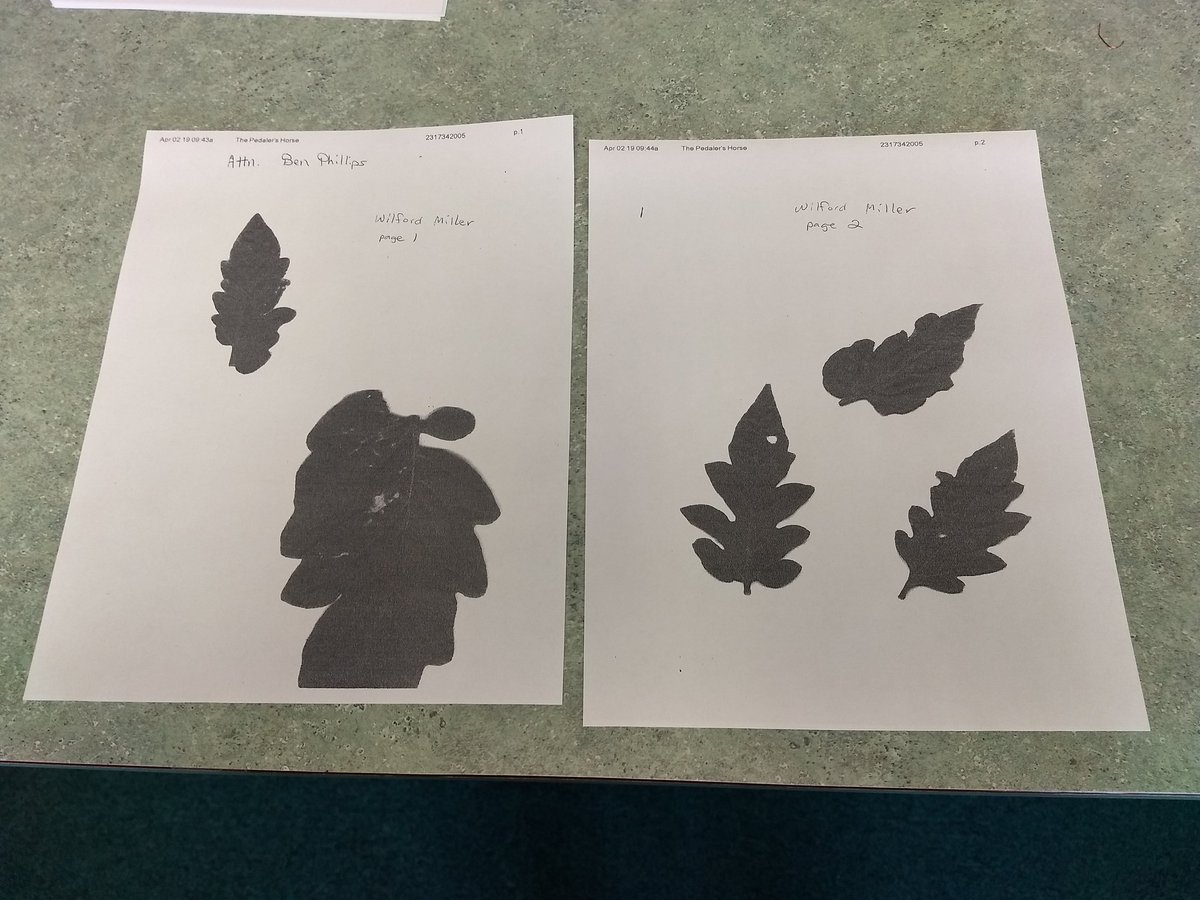 Ben Phillips tweet media