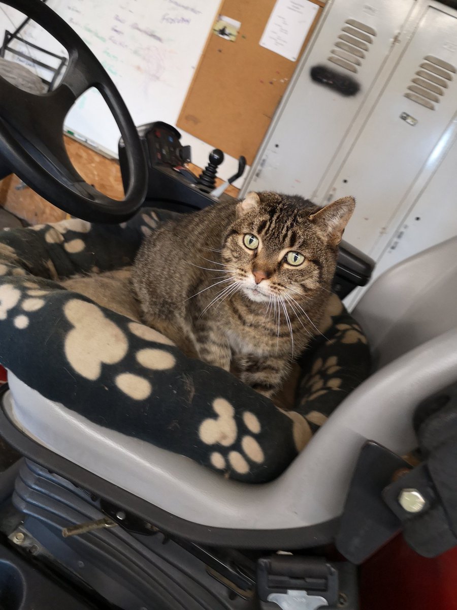 We may not have pet beds for your Toro RM5410 but we have almost everything else. <a href="/EquipmentTurf/">Complete Turf Equipment</a> <a href="/CatsOfTurf/">Cats of Turf</a> <a href="/rrproductsinc/">R&R Products Inc</a>
