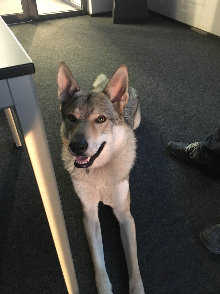 WordPress Meetup Leipzig tweet media