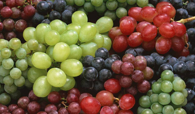 GustoCuernavaca's tweet photo. #FelizMartes Las #Uvas son ricas en antioxidantes, su índice glucémico no es alto, sino medio; son ricas en fibra en hidratos de carbono (17%) de rápida asimilación; contienen #VitaminaC y entre sus minerales destacan el #Potasio #Cobre #Hierro https://t.co/CmLpum9X2p