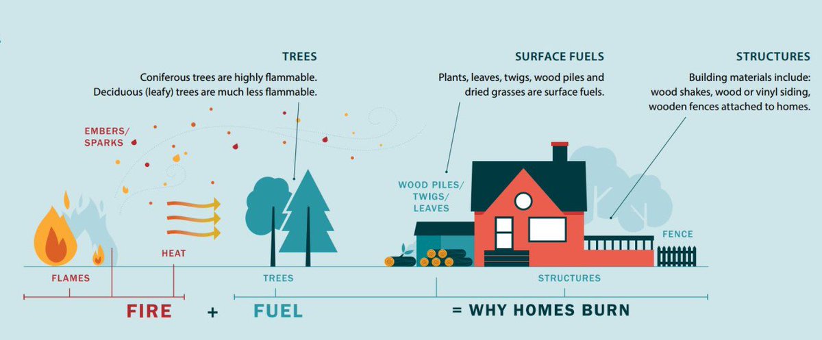 UBCForestry's tweet photo. As we head into wildfire season, take a look at these resources from @BCGovFireInfo to see what steps you can take to reduce the impact of wildfire around your home and in your community.

https://t.co/ms4qcyQ9AB

#FireSmartBC #BCWildFire https://t.co/yo6zsu8ZIj