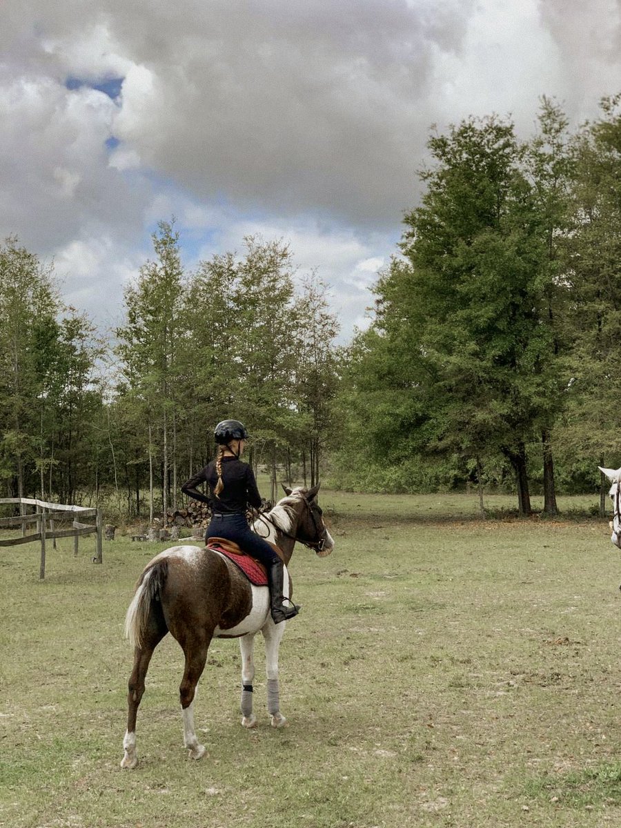 shellyo2014's tweet image. People: why do you spend so much time with your horse?
Me: bc I don't like people 🙃