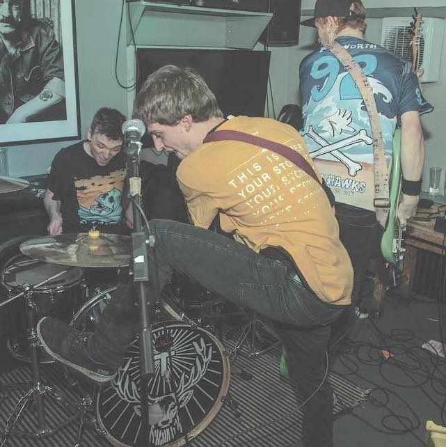 Bow Beehive tweet media