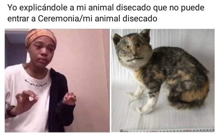 Lo que pensamos cuando vimos la lista de cosas que podemos y no podemos llevar a @CeremoniaGNP. 🤯