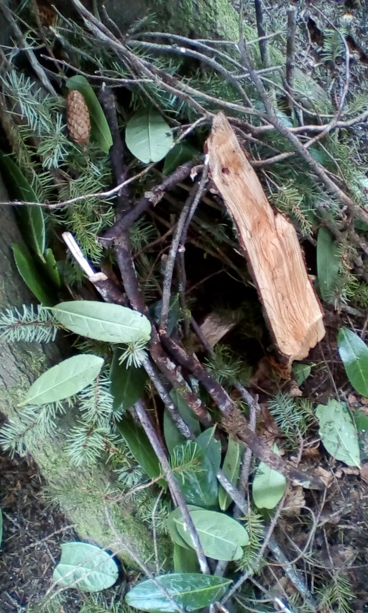 A day of kayaking, den building and cooking flatbread on a fire for our Year 4s in Dartmoor.