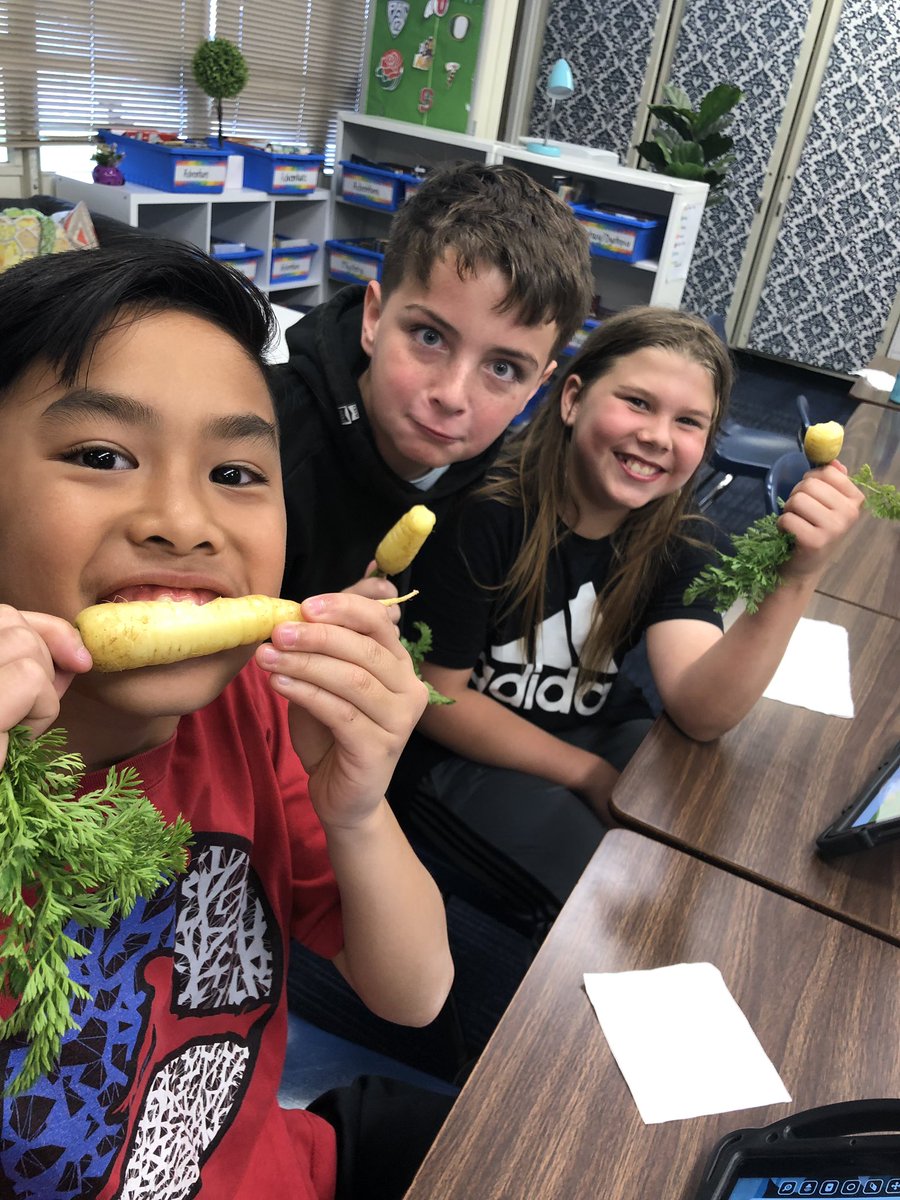 AcaciaKnapp's tweet photo. Loving our Food of the Month! #rainbowcarrots https://t.co/6yCioocf0Y