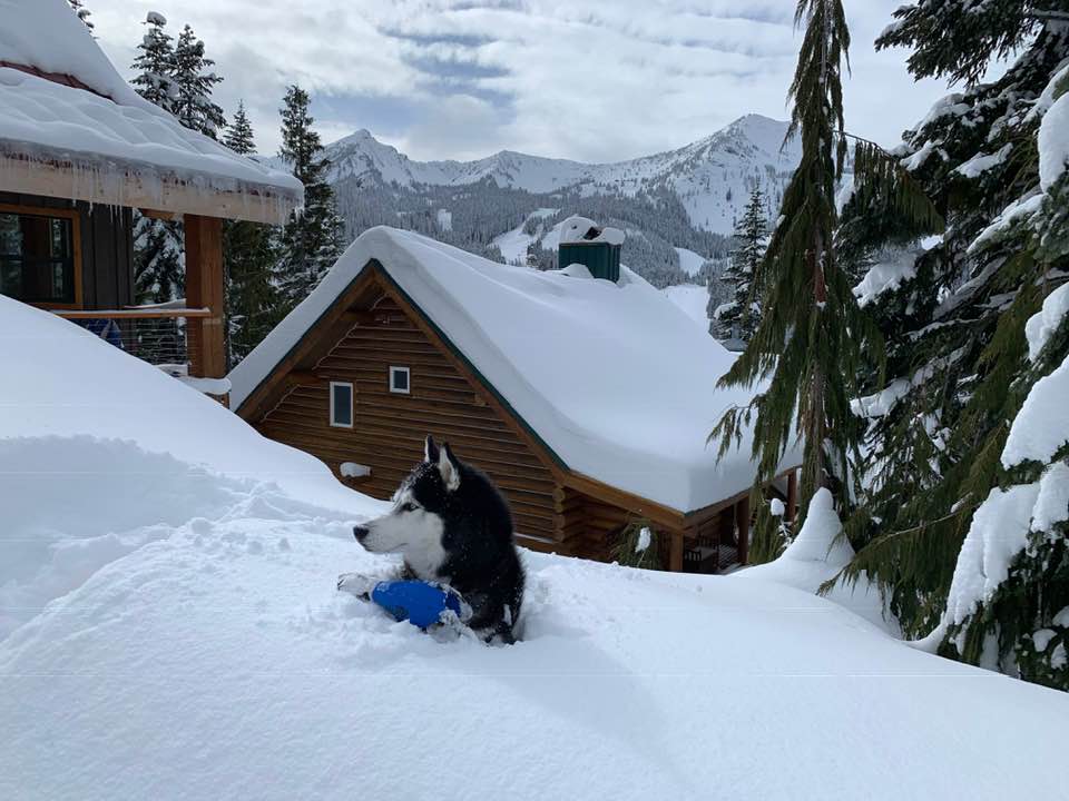 SPIpolyurea's tweet image. It doesn&apos;t matter if you live in a region prone to frigid temperatures, or a hot desert climate, you want the best #insulationsystem year round. SPI&apos;s #EnveloSeal #foam can help reduce energy bills and keep your home comfortable. 1.800.588.7101 bit.ly/2TQXFHq