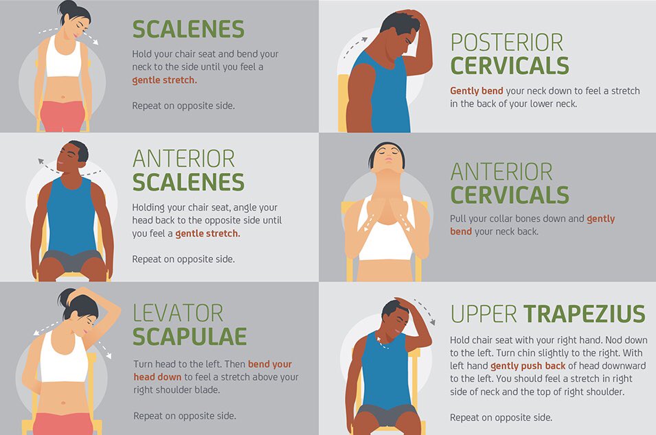 ProPhysio Midlands tweet media