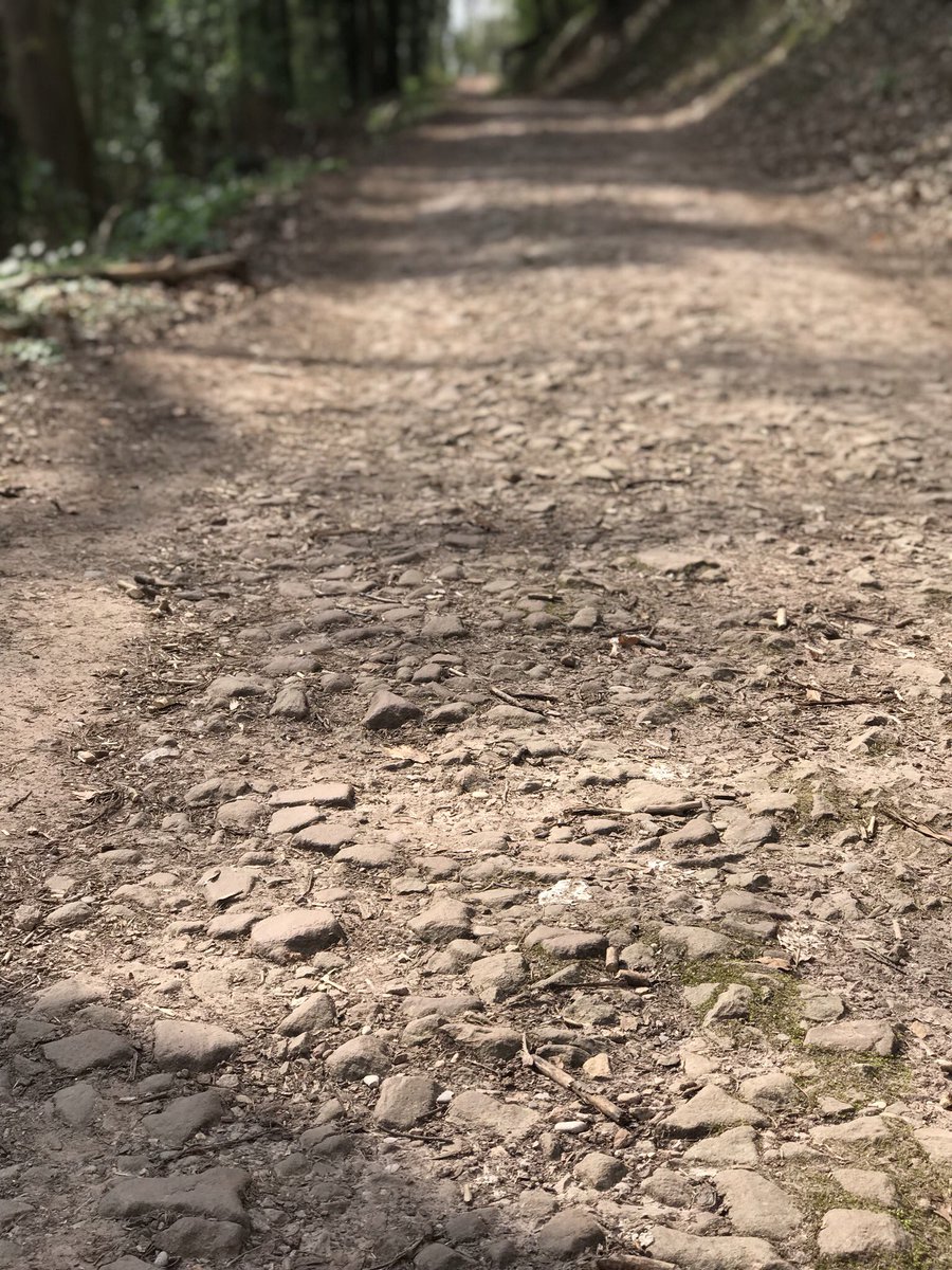 aggersbjerg's tweet photo. Sometimes the stones in your way show you the path forward #runforyoulife #reflection https://t.co/xFPwvvb67l