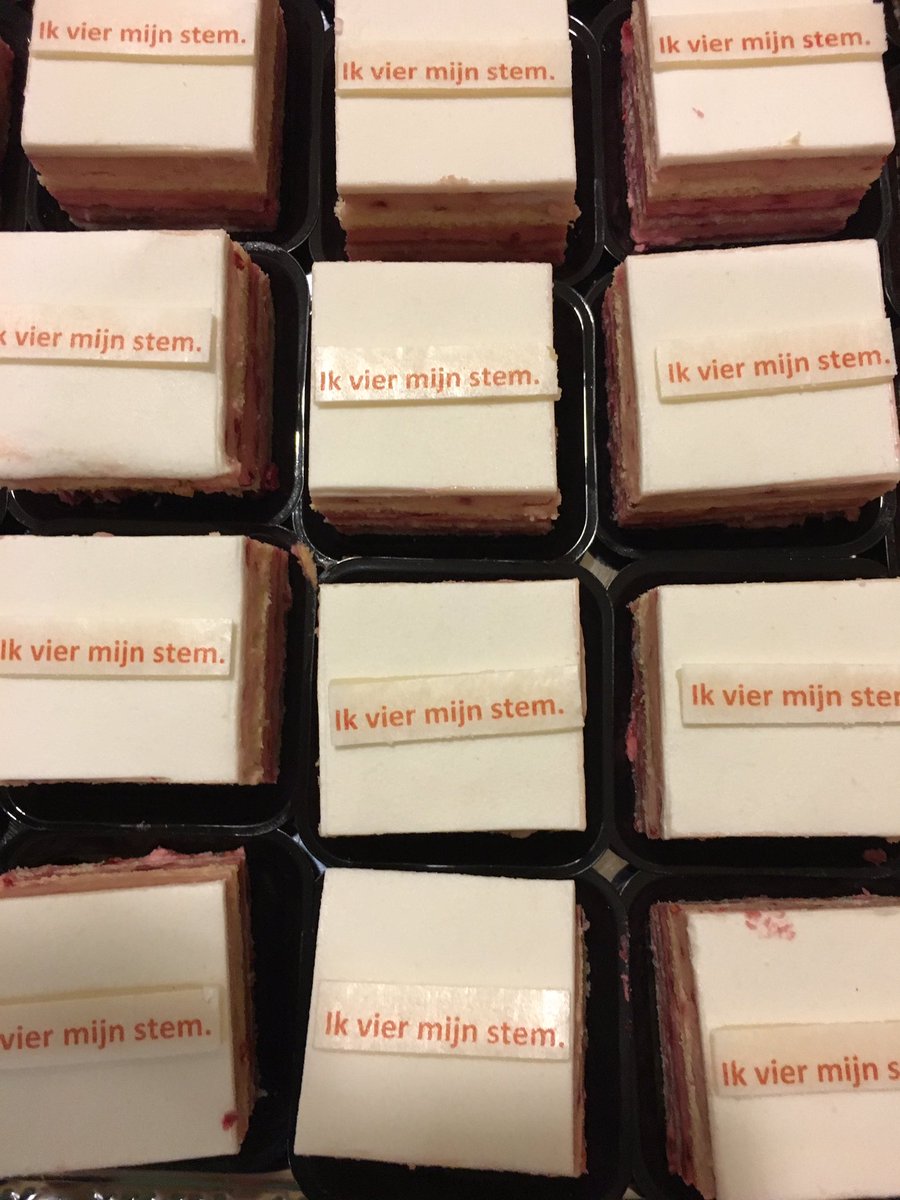 #Ikviermijnstem De raad viert 100 jaar algemeen kiesrecht.