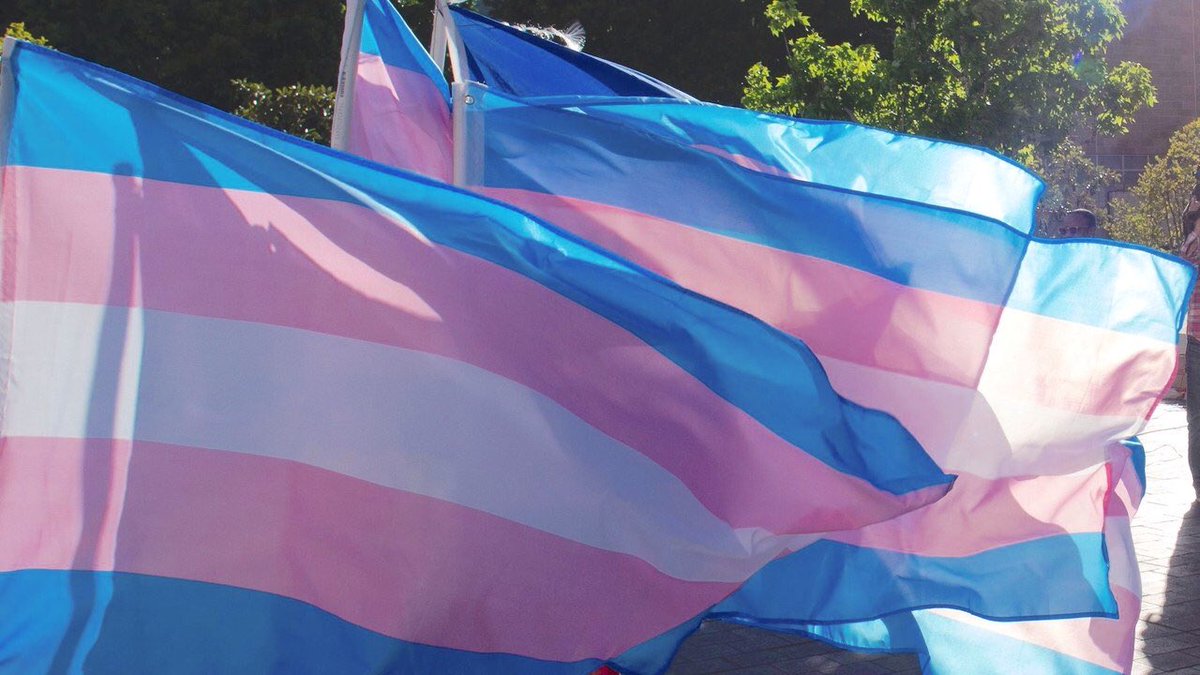 statespectrum's tweet image. Good afternoon, Sycamores! It’s TUESDAY! Hope to see you all in HMSU 321 @ 7 tonight! We will be talking about the Trans Day of Visibility that just passed on March 31st! Hope to see you all there!