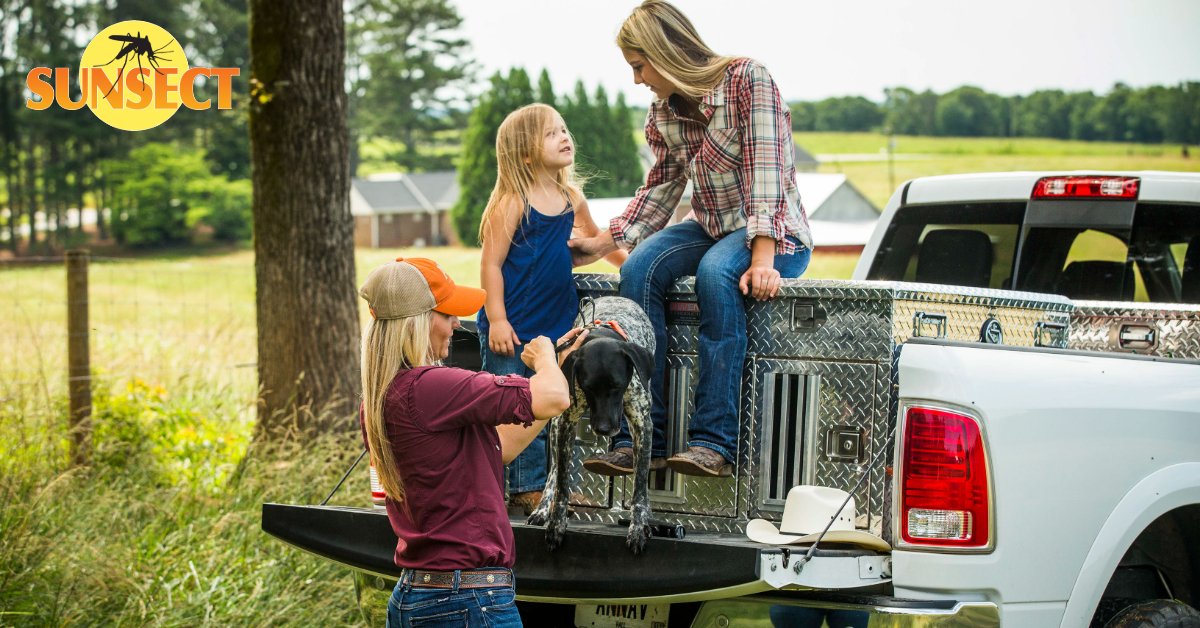 Sunsect15's tweet image. It’s always a good day to live the day to the fullest.
amzn.to/2z2XwZq