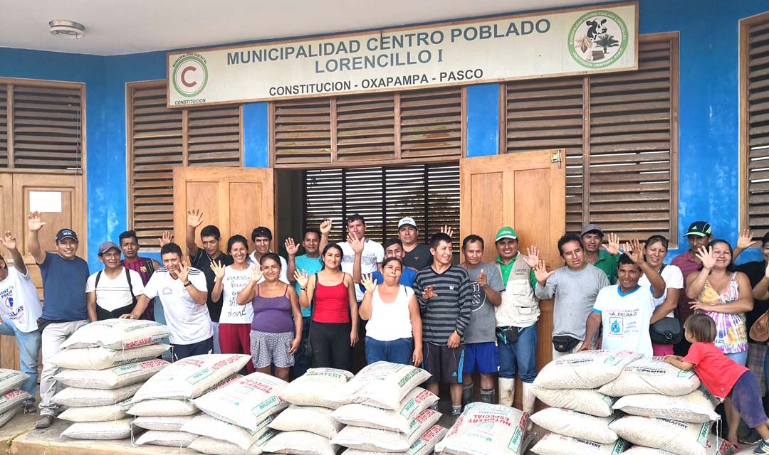 agronetworks's tweet photo. @DEVIDAPERU inició la entrega de nueve mil sacos de abonos a 2,291 familias agricultoras que apuestan por el cultivo del #cacao en los distritos de Constitución y de Puerto Bermúdez #Oxapampa, #RegiónPasco. https://t.co/OQTQrutZZs https://t.co/kLz0qUvzym