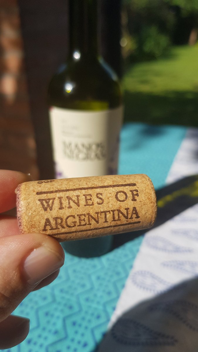 Todos los vinos Argentinos deberían llevar esta leyenda en corcho #WinesOfArgentina #MarcaPais . (Hace años lo veo en los vinos chilenos)