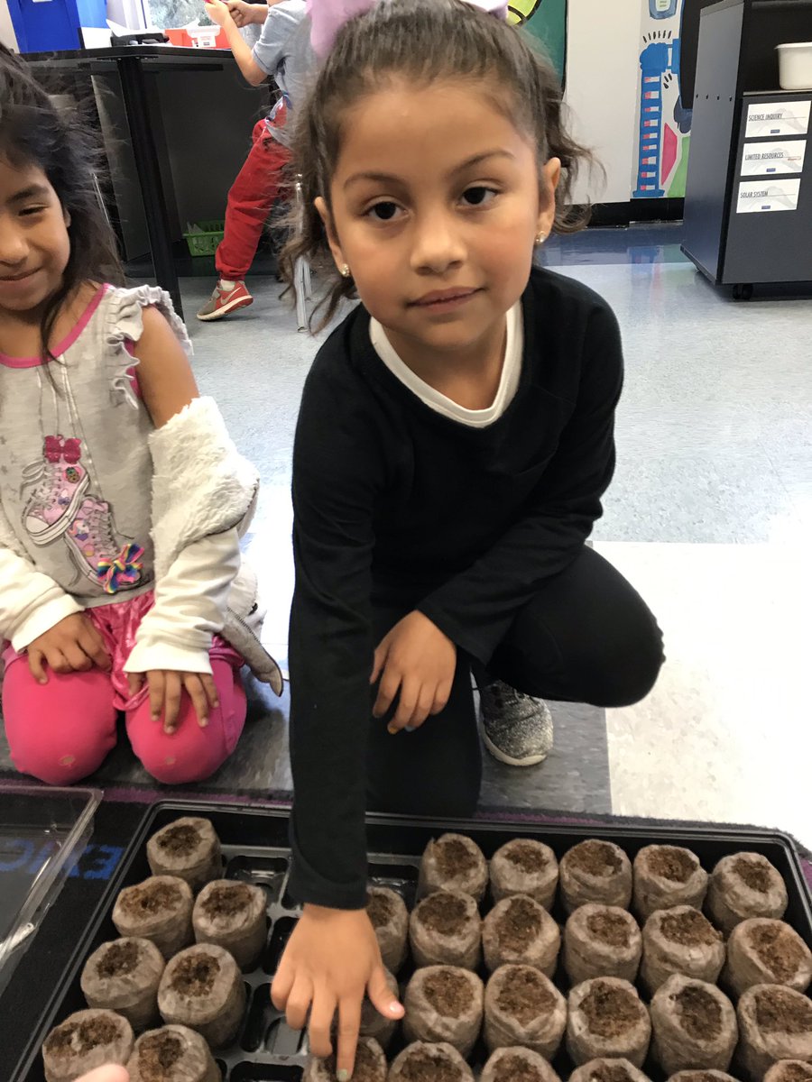 ChrisGibsonSTEM's tweet photo. Kindergarten put together an algorithm to plant a seed @codeorg and then used the algorithm to plant tomato seeds from Tomatosphere. Some are regular “Earth” seeds and some have been on the ISS for a month! @SFAGators #BISDpride #STREAMLab https://t.co/WcpOP1dRiQ