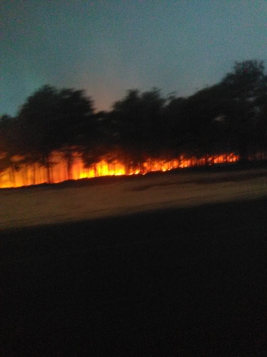 Watcher_Ven's tweet photo. #2Abr / Sigue quemándose Uverito (bosque de Pino Caribe sembrado por el hombre). Sur de Monagas y Anzoátegui. Carretera Nacional Puerto Ordaz-La Viuda / #Guayana https://t.co/YsOGruq2K2