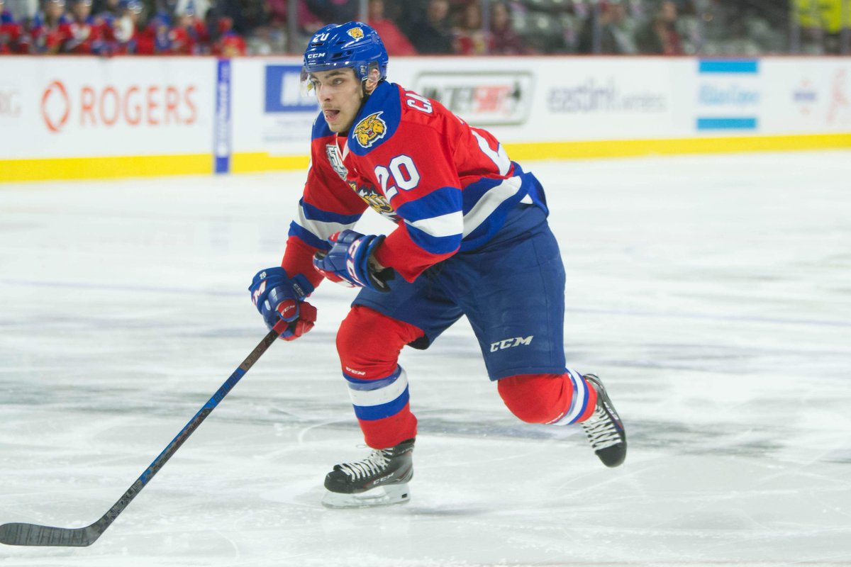melovmartin's tweet photo. Big game 7 tonight!! @TimGRoszell Capannelliโs Billet watching from Moncton!! Hoping for a BIG Win from our boys to end the series with a bang! Mel, Jeff & Odie (the dog) #thehuntison #defendtheden @monctonwildcats #proudbillets https://t.co/Y5VpTLOkqO