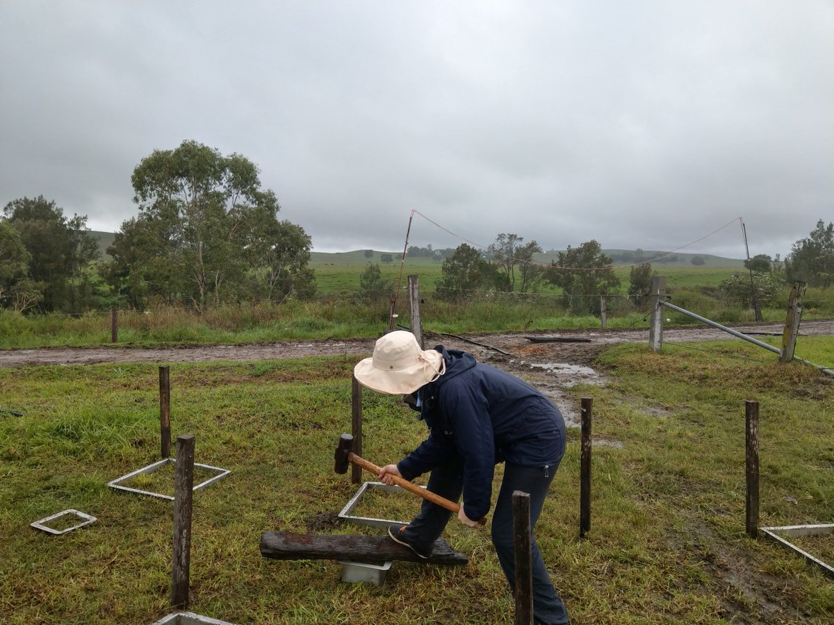 Target-N2O tweet media