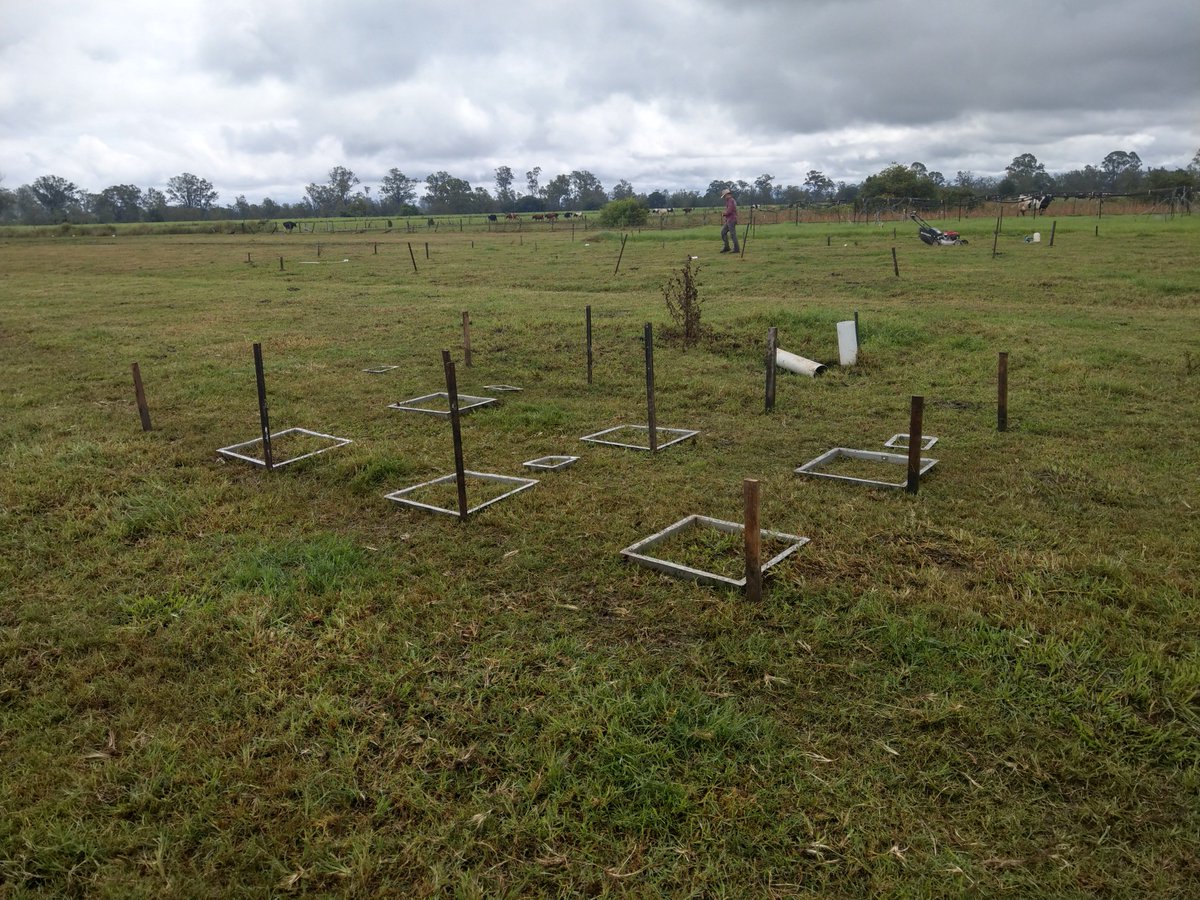 Target-N2O tweet media