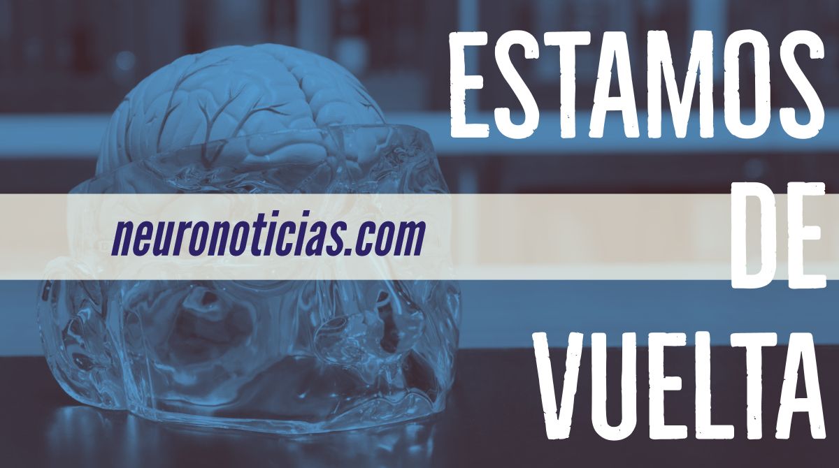 NoticiasNeuro's tweet photo. No ha sido poco el apoyo recibido, pero hace ya un buen tiempo que #Neuronoticias dejó de publicar contenido en redes sociales— más que nada debido a falta de tiempo. La buena nueva es que el blog vuelve con nuevos contenidos planeados para ti. ¡Espéranos¡ https://t.co/u7a9hT0pxi