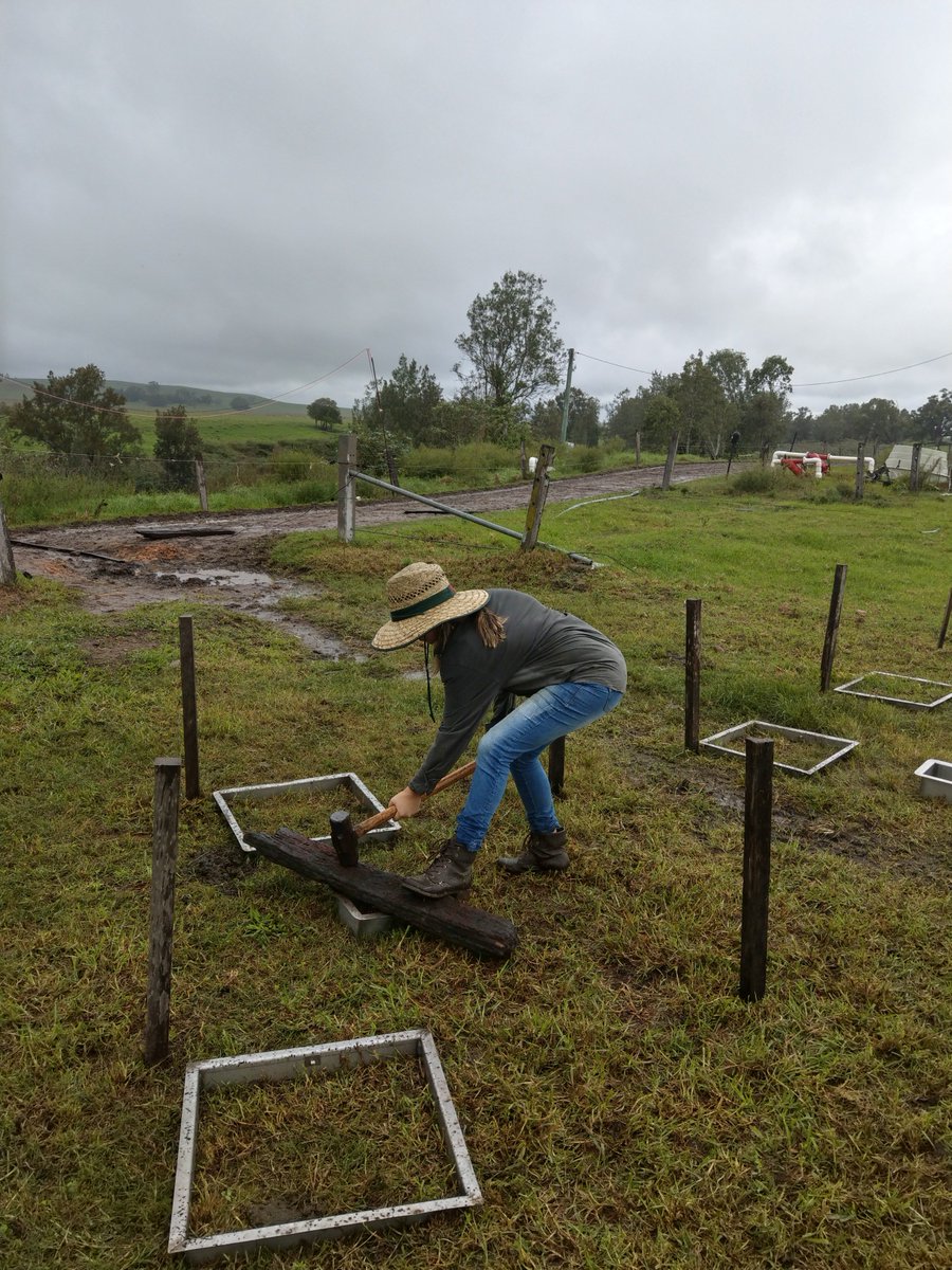 Target-N2O tweet media