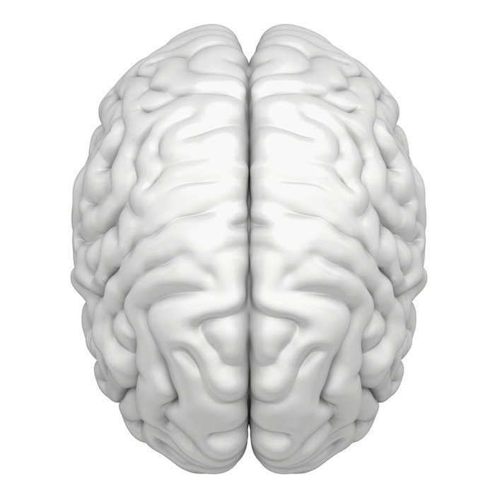 Jill Bolte Taylor’s Story 2wkblog.com/2019/04/02/jil…