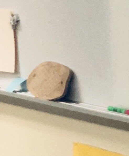 TeachUnfiltered's tweet photo. Some days, you feel like you’re really making a difference in the world. Other days, kids throw your fish in the toilet 😐

RIP, hall-pass fish. https://t.co/fY8cp1yOo2