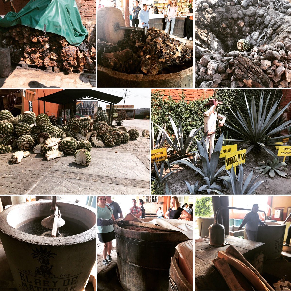 doctorabdelnora's tweet photo. Back from presenting at #SECOLAS2019 & bringing back info for future classes—#Zapotec ruins of #Mitla & #MonteAlban to preparation of #cochineal dye to #mezcal production to #precolumbian #tejate beverages! #mexico #oaxaca #mesoamerica #latinamerica #wearepamplin https://t.co/EeUn5LChWF
