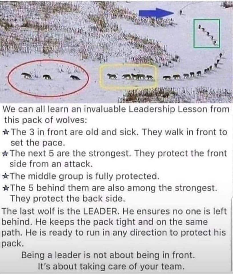 Tayma Smith (@smithtayma) on Twitter photo 