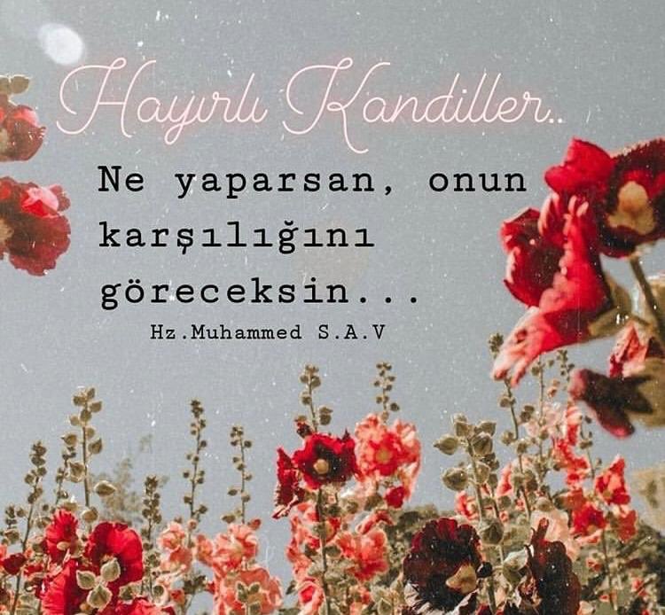 @Nesliha25970739 @AkZafer3 @1kuyuistiaresi @emine_guclu1 @themarginale @cool_1453 @___H_rc___ @solmzemine @kinalicool34 @Kubra_1299 @tasdemir_cml @Cemre_Noyan @Bay_x1453 @alpcanitez @akbasmarkt @ahuelanaz42 @Malazgirt_Ruhu @EgolaTR @MilayZafer @__KISASA_KISAS @ElifsaraB @EL___izAN @erayyyNihal