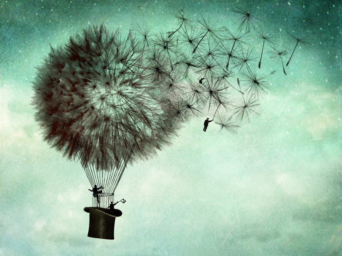 vallejosjose's tweet photo. "Cuando perdonas, no cambias el pasado, pero cambias el futuro." - Bernard Meltzer https://t.co/EVDrzj5RsA vía @Psicojen #Frases #PasadoEmocional #DesarrolloPersonal #MarGenteChachi2Abr https://t.co/HYqIta3AQT