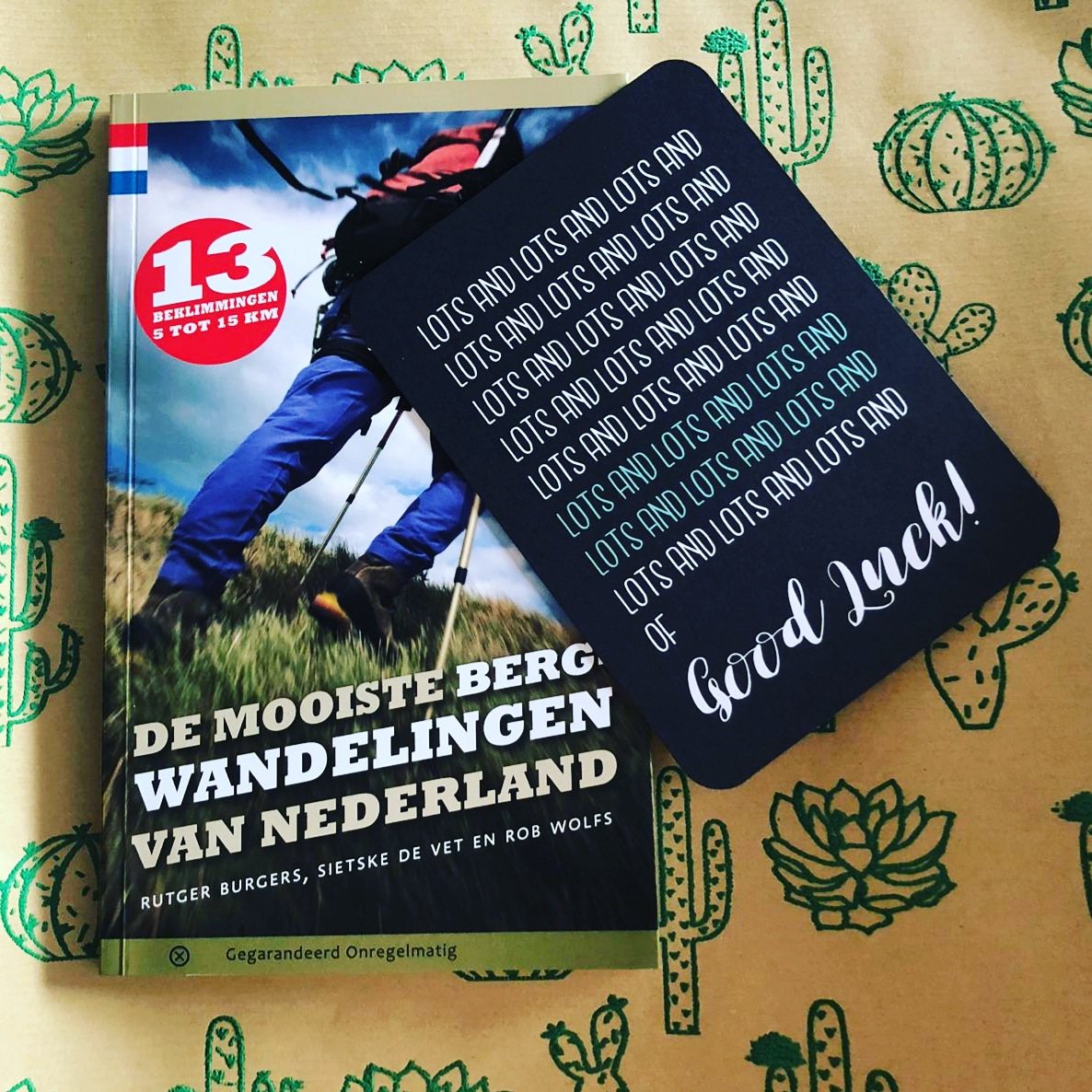 Bedankt @uitgeverijGO voor deze prachtige gidsen vol mooie wandelingen voor onze klimmers die in augustus 3 bergen beklimmen binnen 24 uur! Benieuwd naar onze klimmers en wil je hen sponsoren? homeofchange.nl/klimmers