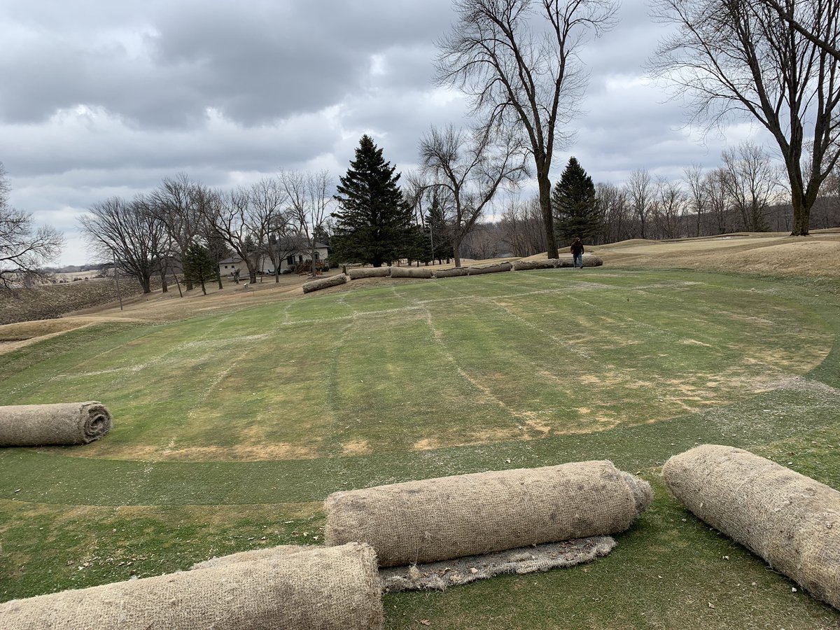 golfsoup's tweet photo. Covers came off the few greens we do cover. Annual blue set back a bit even with protection. Overall look good though for still being frozen in spots. https://t.co/RL2GXDCdTn