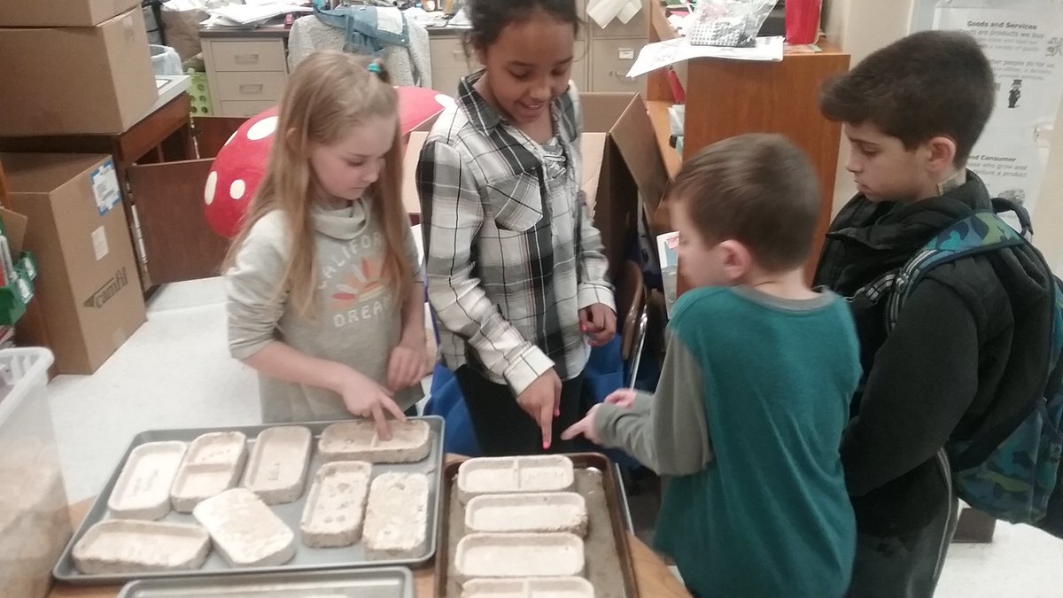 CreositySpace's tweet photo. Team 3 Paradis checking out &amp; discussing what worked/didn't w/ their #MushroomMaestros desk organizers, planters &amp; #mycelium creations. #ngss #elementary #innovation @grow_bio Make your #classroom a #CreositySpace https://t.co/u3kcNUPWPf https://t.co/QNfBLLZ8SN