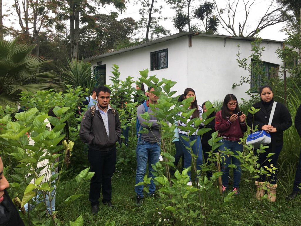 EstadisticaUV's tweet photo. Nuestr@s estudiantes de periodos avanzados asisten al UNCADER para realizar prácticas aplicando lo que se estudia en las aulas. #TeamEstadísticaUV 😉😎👏📊📈💻✅ https://t.co/Uzi5wWERxH