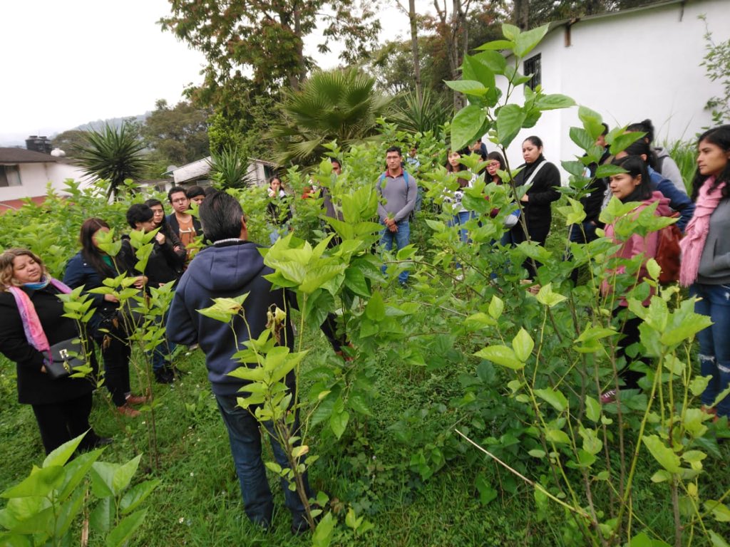Nuestr@s estudiantes de periodos avanzados asisten al UNCADER para realizar prácticas aplicando lo que se estudia en las aulas. #TeamEstadísticaUV 😉😎👏📊📈💻✅