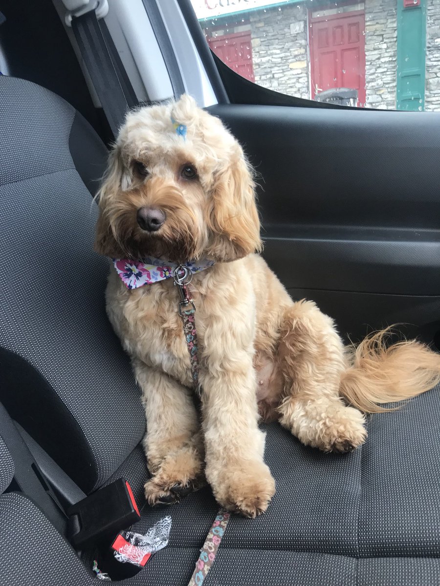 Lauren Barrett tweet media