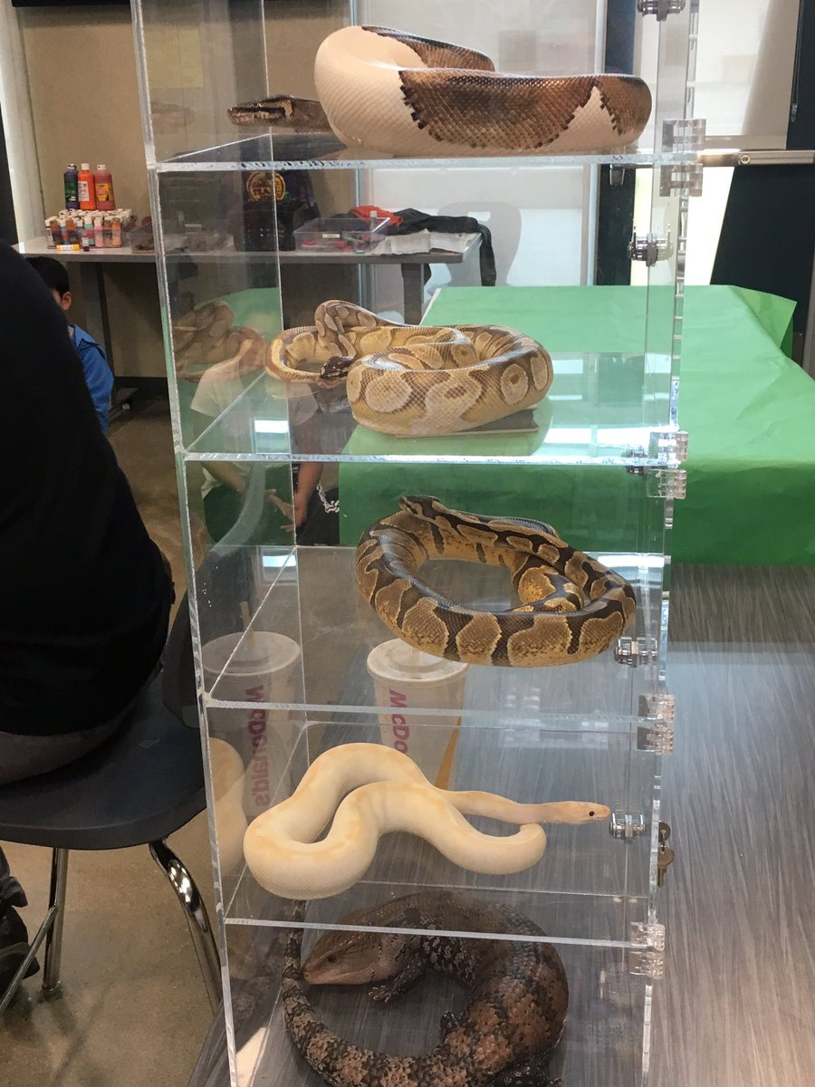 MrsKrepelka's tweet photo. Thanks to a generous 3rd grade parent for the “For Goodness Snakes” assembly! https://t.co/gSh1LrKMe6