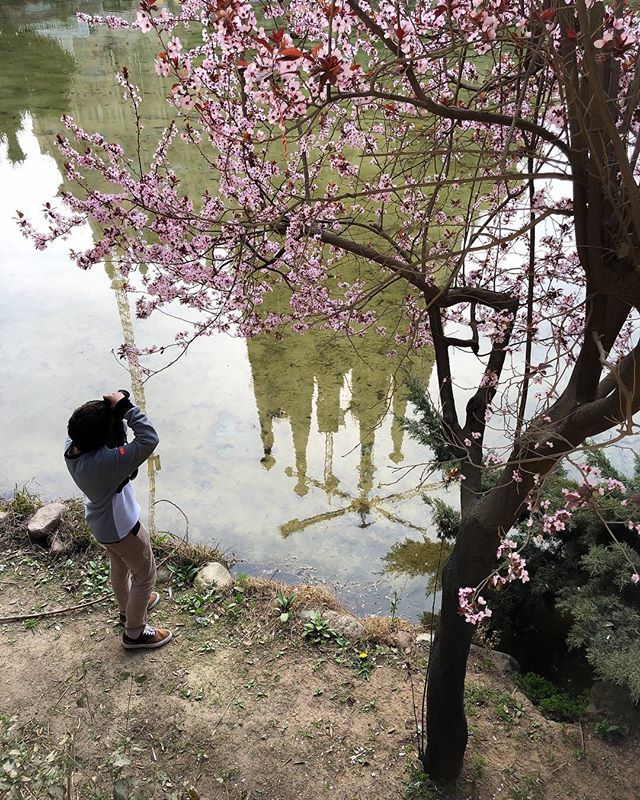 aenede's tweet photo. Capturing springtime! 🌸
.
.
.
.
#thebarcelonist #ig_barcelona #ig_catalonia
#descobreixcatalunya #ig_spain_ #visitspain #earth_focus #earthofficial #naturegeography #passionpassport #discoverearth #beautifuldestinations #wonderful_places #LifeOfAdven… https://t.co/XdRoeZYudq https://t.co/WzyQEfsrYe