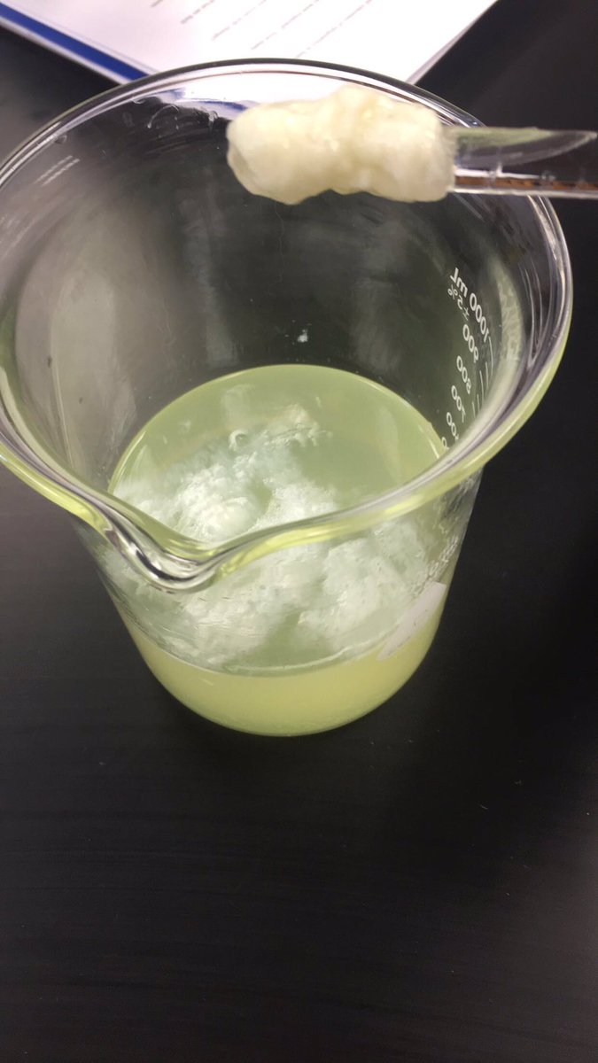 benson_allayna's tweet photo. An onions DNA!! @UNKBiol106AC #106Week12ACS19 https://t.co/VdG2x1IJ5u