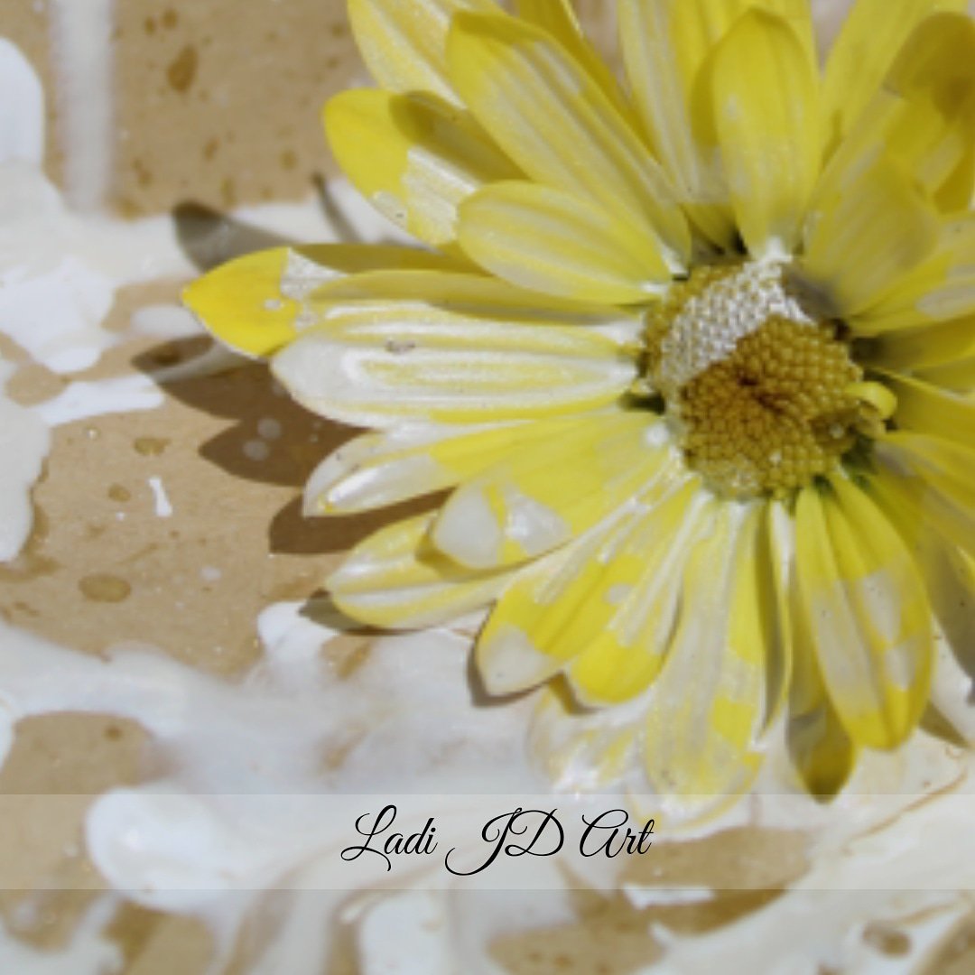 ladiJDArtist's tweet photo. Who doesnt love 🌼🌼 in spring time? I just went out and took all new pix Keep watch! #ladijdart #floralphotography #flowers #flower #floral #flowerphotography #floraldesign #florallove #flowerlover #flowersmakemehappy #floralarrangement #flowerart #inspiredbypetals  #flowermagic https://t.co/1ueiqrvJr4