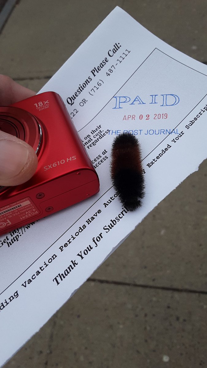 EZavinski's tweet photo. Woolly bear friend in Jamestown buys a yearly PJ subscription and says, "Subscribe to the Post-Journal, please!"
So what are you waiting for? Get the best local bug and also non-bug-related news starting today!
#PostJournal #Spring https://t.co/9n2bgMd9uE