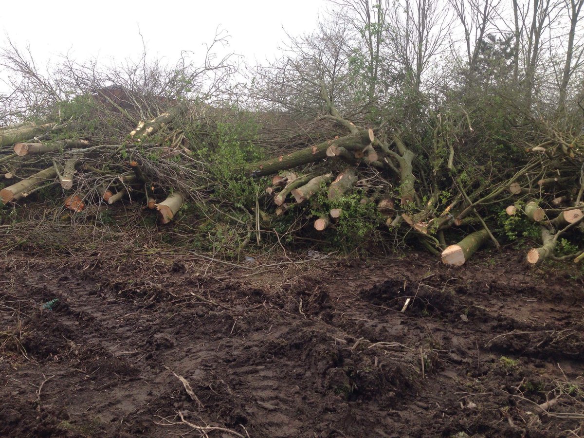 jaymilson's tweet photo. Some photos from today clearance at Lindley Mere @GroundControlGC @icooper06 https://t.co/I1mV55Gut2