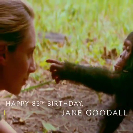 Here\s to 85 years of exploring and taking us further. 
Happy birthday, Jane Goodall! 