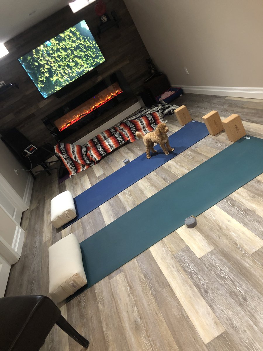 FatmanduY's tweet photo. Ready for another private yoga session. Yoga Doggie not included #restorativeyoga #becomethefrog #transform #PersonalizedEqualsOptimized https://t.co/FMoKq6aXy7