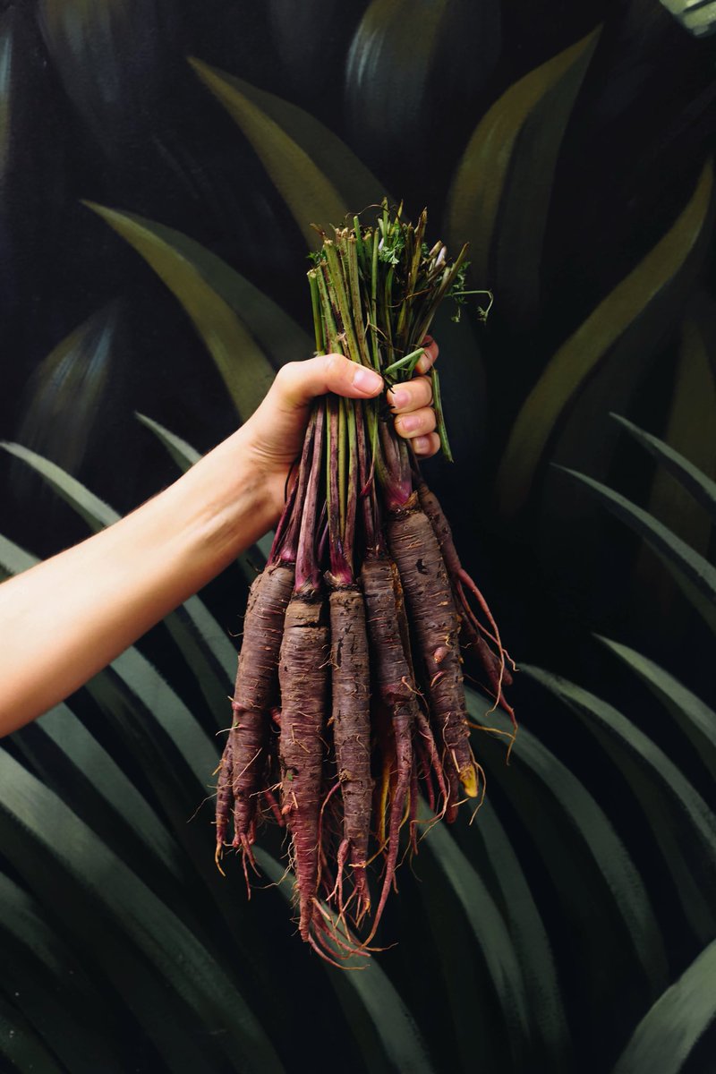 ¿Conocen huertas cerca de Buenos Aires que nos quieran recomendar? ¡Nos encantaría ir a conocerlas!
#ilatinabue #latinfood #travelbuenosaires #latinamerican #bestrestaurants #buenosaires #cocinalatinoamericana #gastronomiasostenible #sustainable