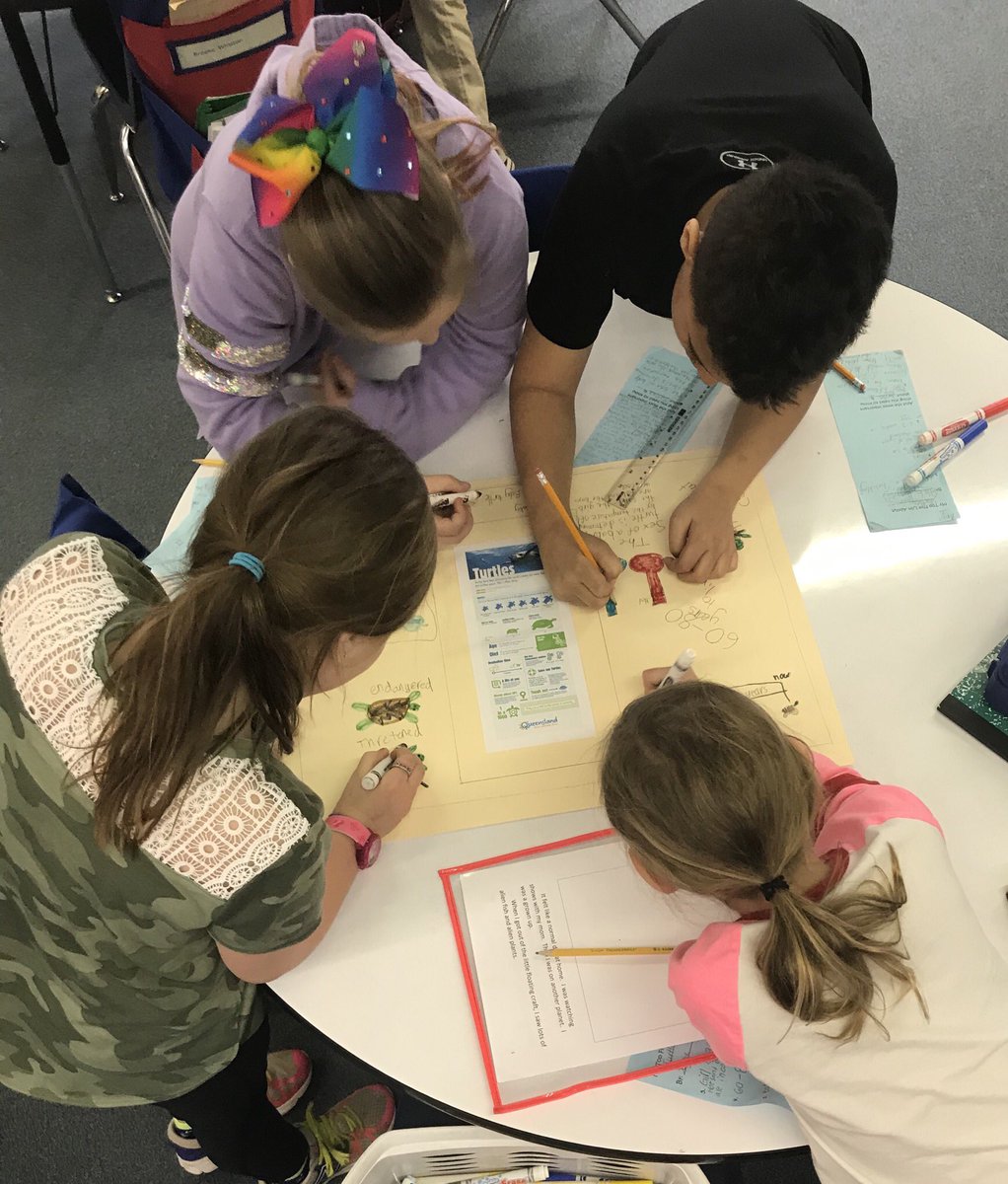 beach5girl's tweet photo. Using infographics to gather facts about terrapins and sea turtles, then @SIOPModel “Concretize It” to combine independent thinking with group ideas @CalvertUDL Win! Win! https://t.co/BqrmkBrwiL