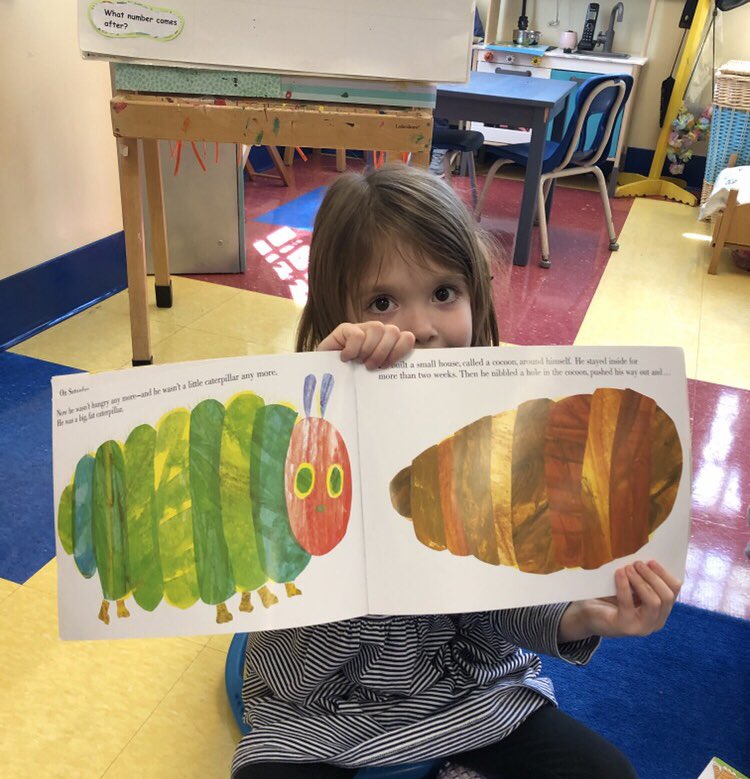 Pre-K Honey Badgers tweet media